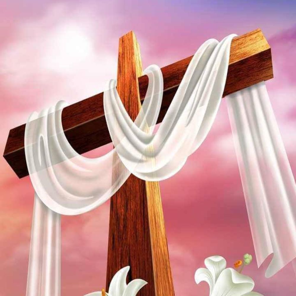 Meet your Posher, Tamelia